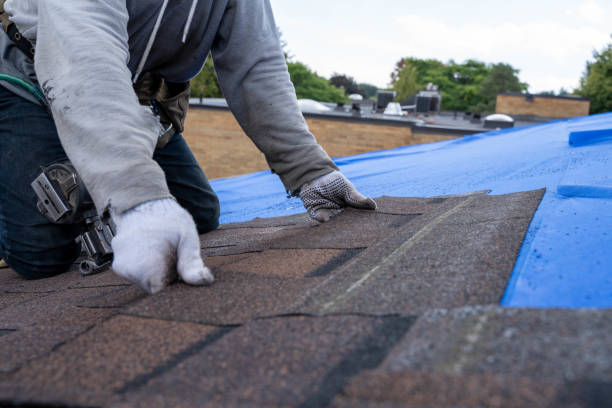 Best Roof Replacement Cost  in Concord, VA