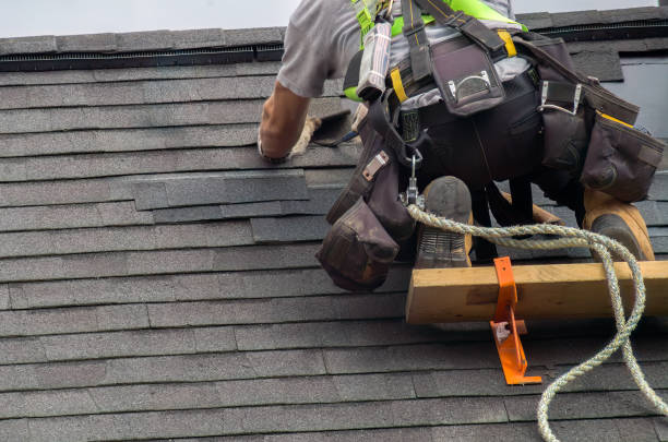 Roof Gutter Cleaning in Concord, VA