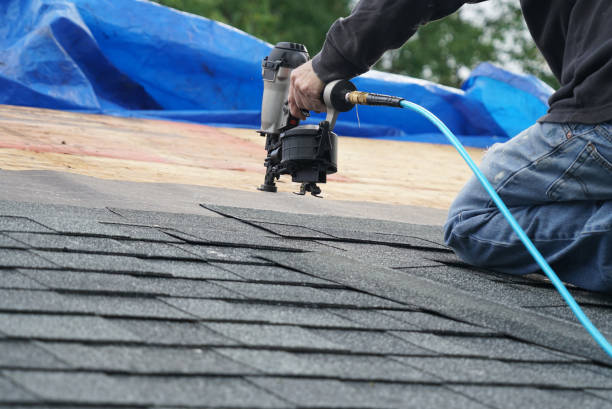 Best Roof Gutter Cleaning  in Concord, VA