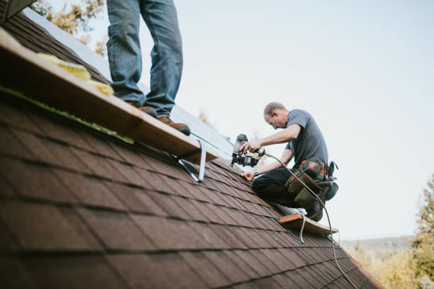 Best Roof Maintenance Services  in Concord, VA